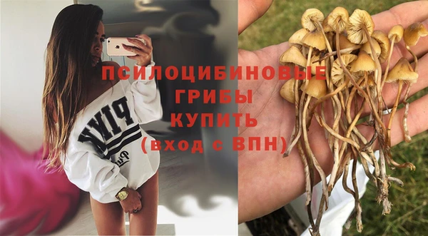 тгк Михайлов